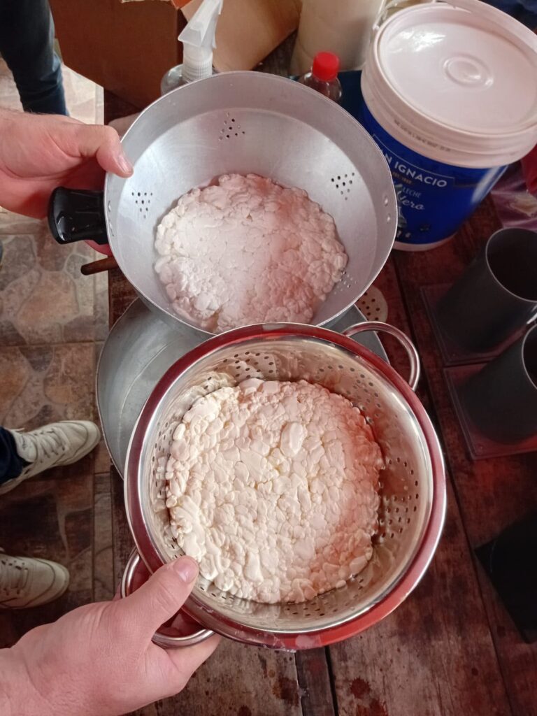 El Impenetrable apuesta a los quesos: productores transforman leche de cabra en nuevos alimentos