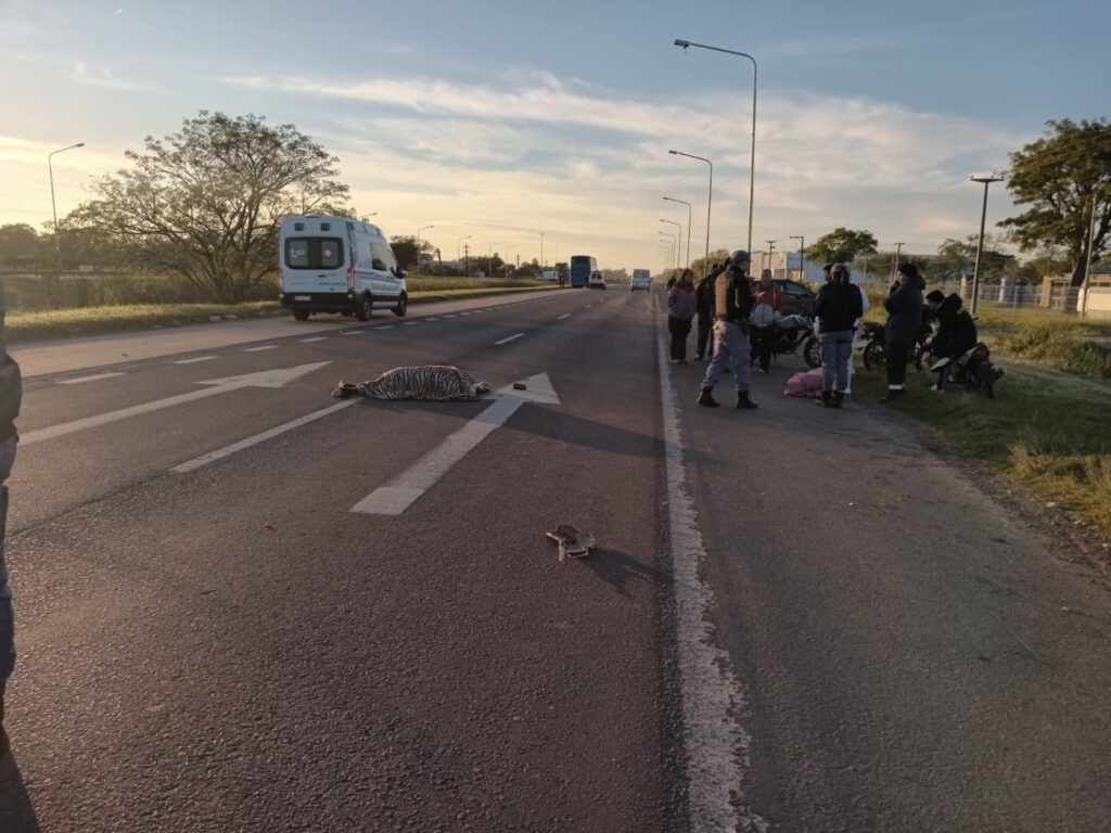 Grave siniestro vial en Fontana: una moto chocó con un colectivo sobre la Ruta 16