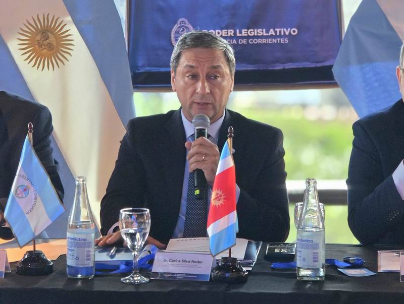 Silva Ender reclamó una tarifa de luz diferencial para el Norte Grande