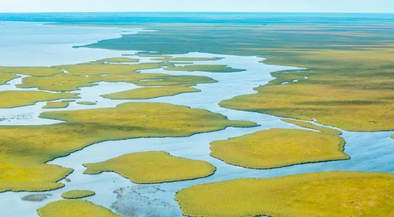 Iberá: Parques Nacionales y Rewilding firmaron un nuevo convenio por diez años