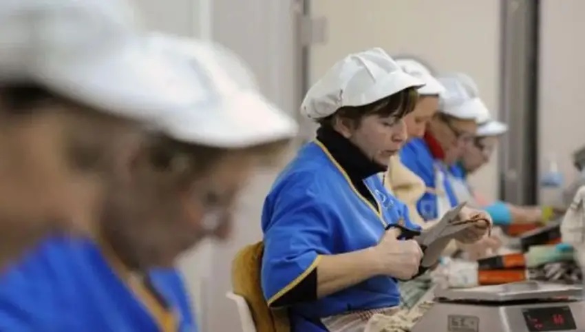 La actividad económica pyme en Chaco cayó 5,1% en septiembre y acumula una baja de 6,7% anual