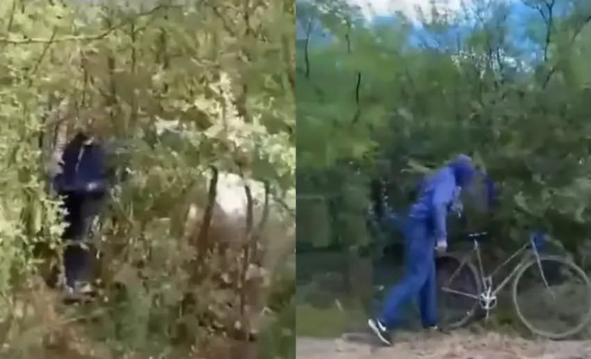 Horror en Sáenz Peña: denuncian un abuso sexual contra una yegua y exigen que intervenga la Justicia